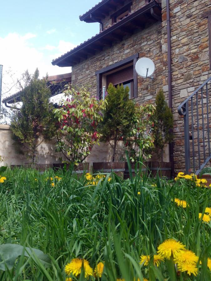 El Huerto De Leon Villa Pradena del Rincon Exterior photo